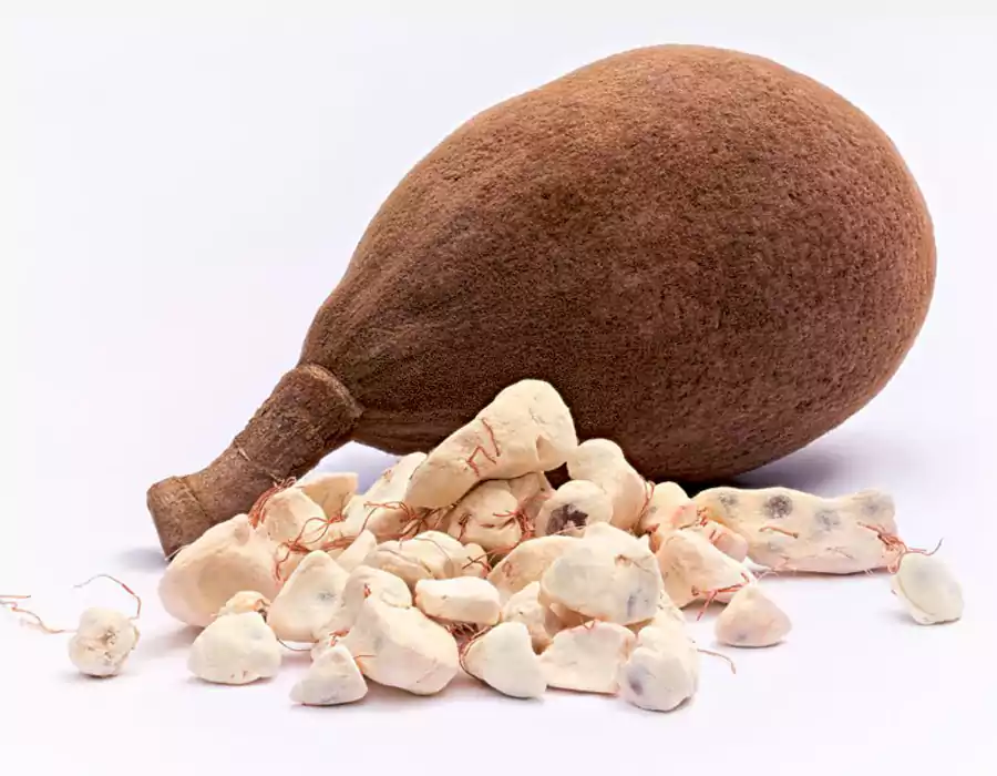 baobab_fruit