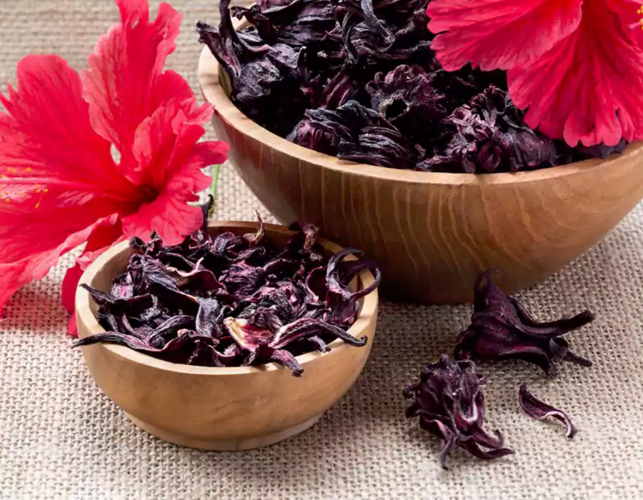 hibiscus