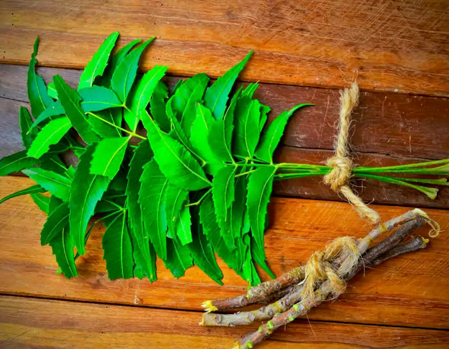 neem
